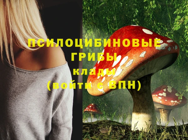 дживик Вязники