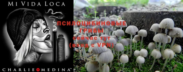 дживик Вязники