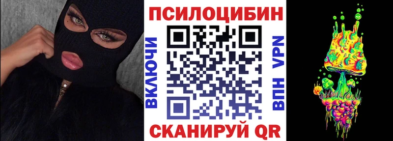 Псилоцибиновые грибы Psilocybe Арзамас